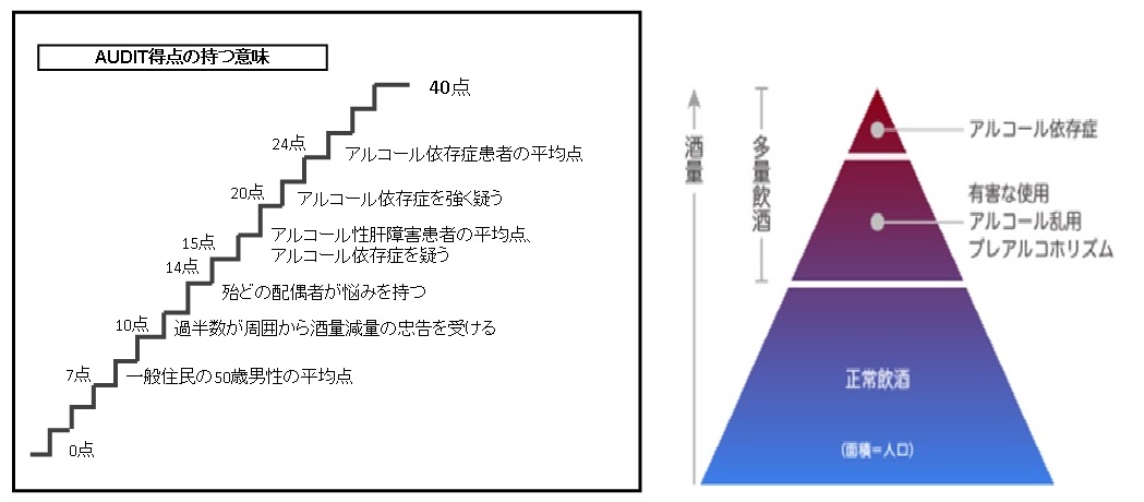 アルコール問題簡易検査 Audit 結果 独立行政法人国立病院機構 榊原病院